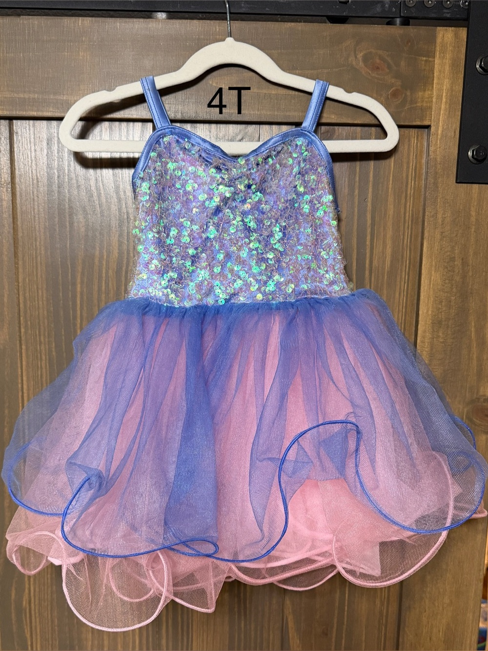 Girls Sparkle Blue & Pink Tulle Costume Dress